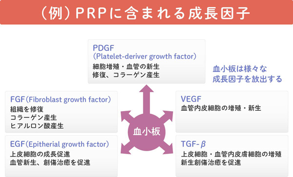 PRPに含まれる成長因子