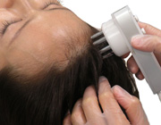 エレクトロポレーション法の流れ