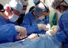 第42回ドクター会議