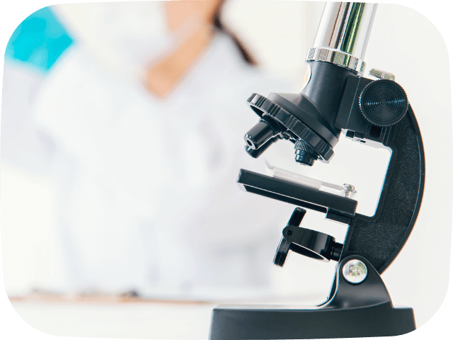 世界に認められた実績