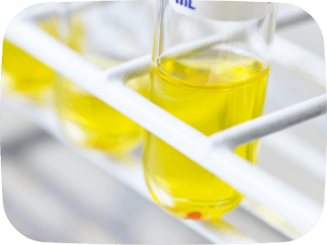 PRP系（皮膚再生療法）