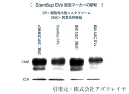 エクソソームの証「表面マーカーCD9/CD63」が認められたStemSup™